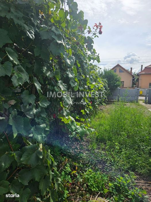 Oferta Casa 100Mp, 3 Camere,2 Pivnite,Garaj, Teren 1318, Pret 52.000E