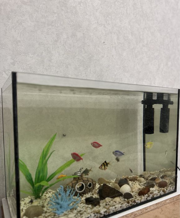 Продам аквариум с рыбками