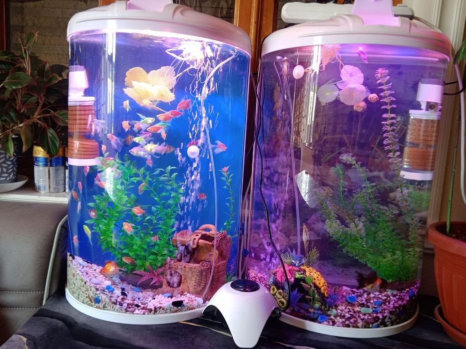 Akvarium sotiladi