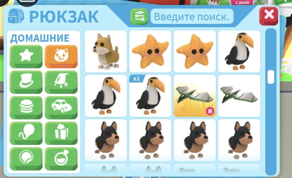 продаю питомцев в адрпт ми