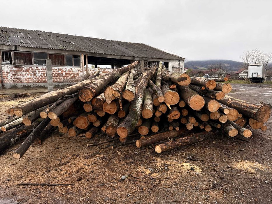 OFERTĂ ANUL NOU - Lemn de foc fag și carpen, tăiat și livrat în Teaca