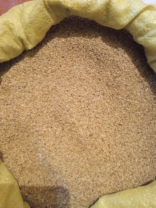 Petrushka urug bor ishonarli garantiyali pachkani bolasi