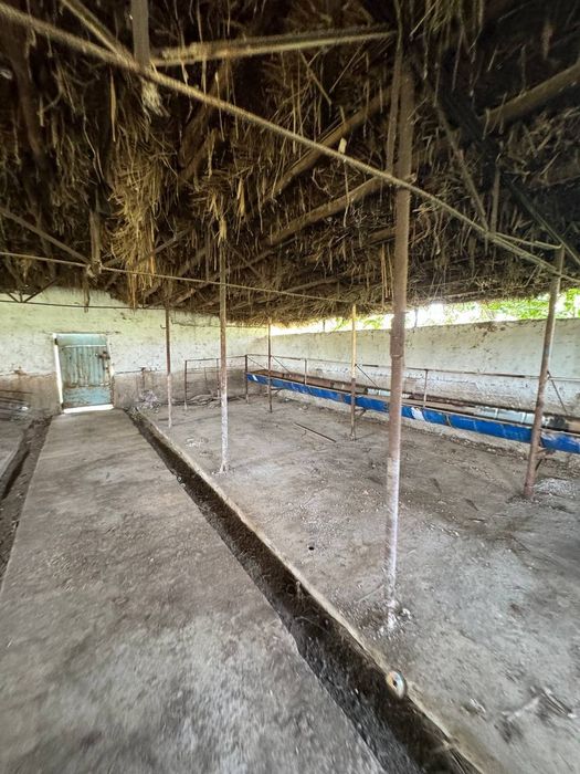 Продаётся ферма в Янгиюле