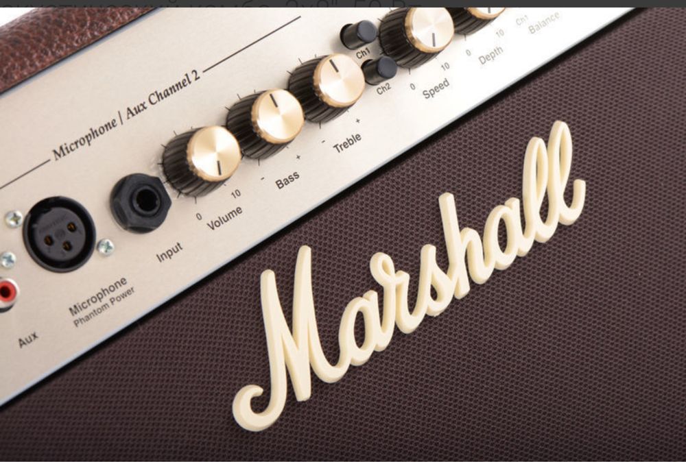 гитарист певец музыкант