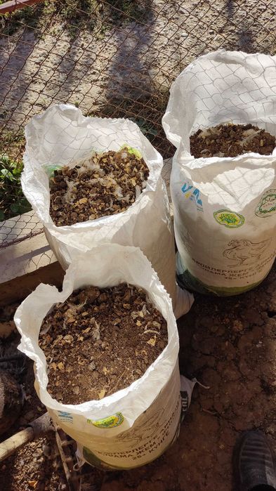 Куриный помёт с опилками.