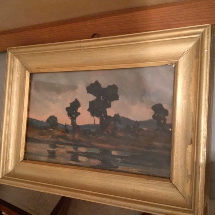 Peisaj de tara - Nicolae Meicu Semnat Dimensiuni 25/15cm cu Rama