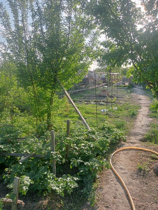 Продам дачу в П МК 52   Дом де комнаты и коридор