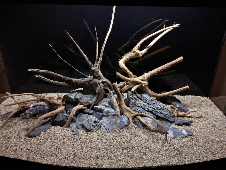 Аквариум Diversa