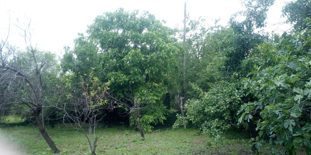 Продава се Парцел в с. Горно вършило, Област Пазарджик - 866 кв.м за 21 €/кв.м - Снимка #5