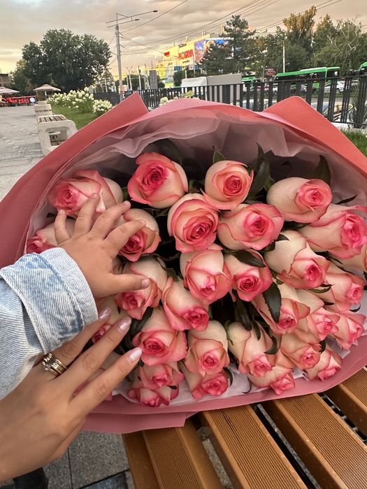 Цветы роза 31 свежие