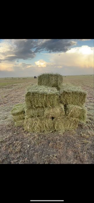 Продам тюк 500тг