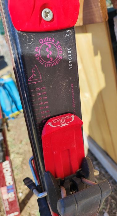 Ски Elan и Atomic