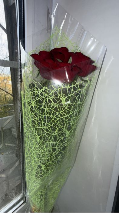 Продам цветы сегодняшний