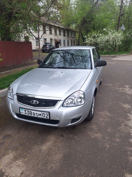 Продам быка алатаской породы