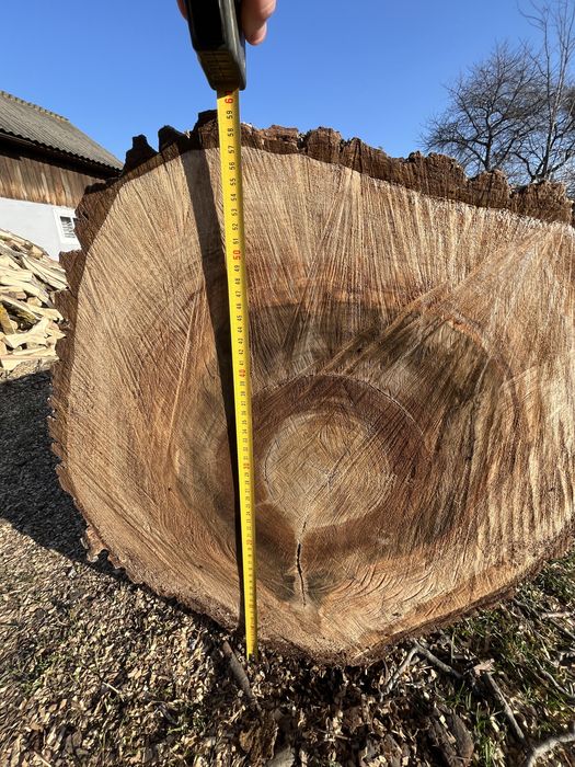 De vânzare trunchi nuc