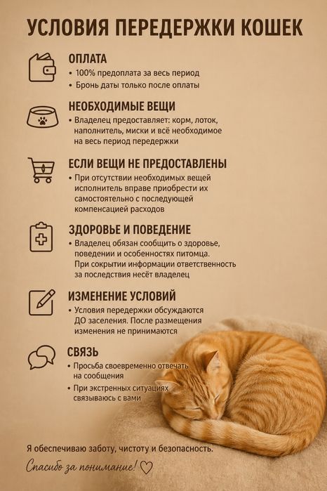 Домашняя передержка для кошек