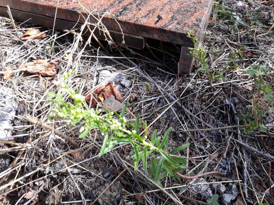 Продавам плот от червен гранит с размери 172см. х 40см