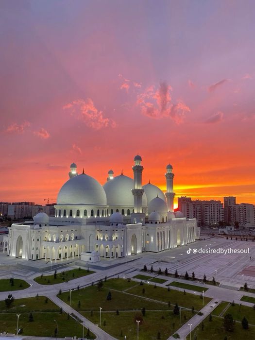 Дрон/Мобилограф/Видеограф