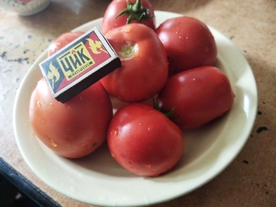 Продам помидоры вкусные