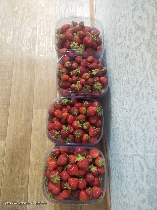 Продам дачу, сад Берёзка