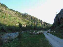 Продава се Парцел в с. Комщица, Област София-област - 1235 кв.м за 40 €/кв.м - Снимка #10