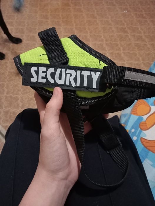 Продаю амуницию для собак