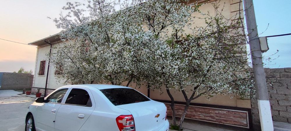 Олтин тепа Кук Сарой янги тошми постидан 4км