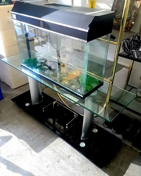 Аквариум коттасидан