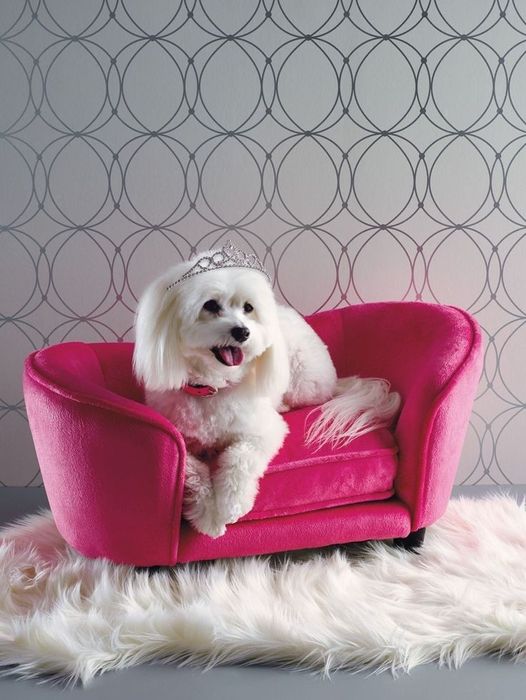 Лежак-диван для питомцев