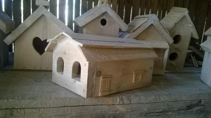 Căsuțe pentru păsări