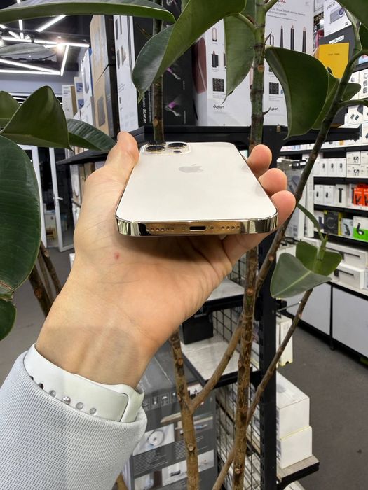 IPhone 13 Pro Max / 256 Gb