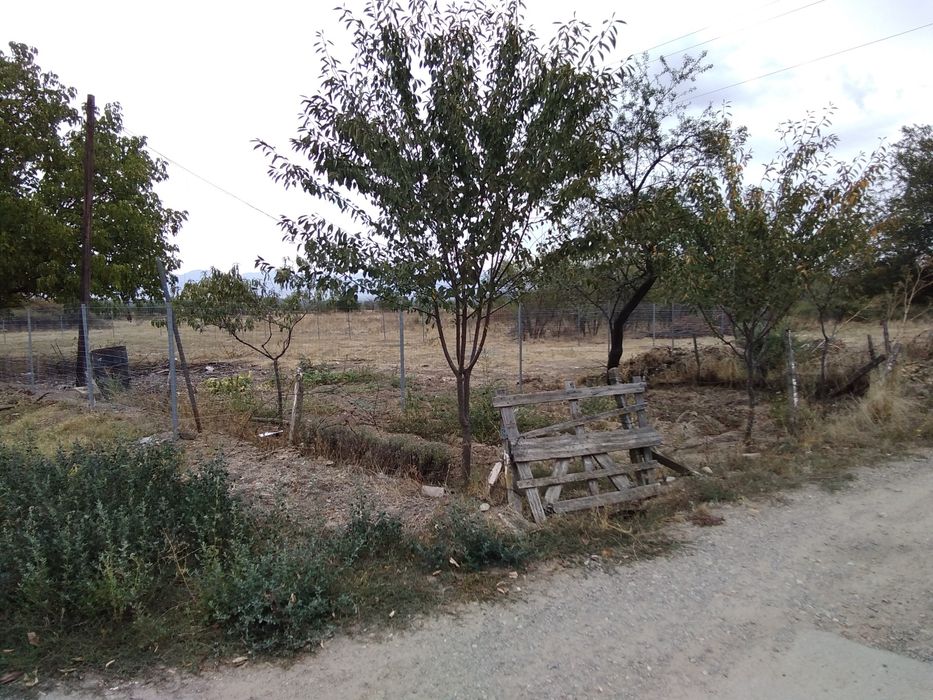 Продава се Парцел в Павел баня - 600 кв.м за 100 €/кв.м - Снимка #3