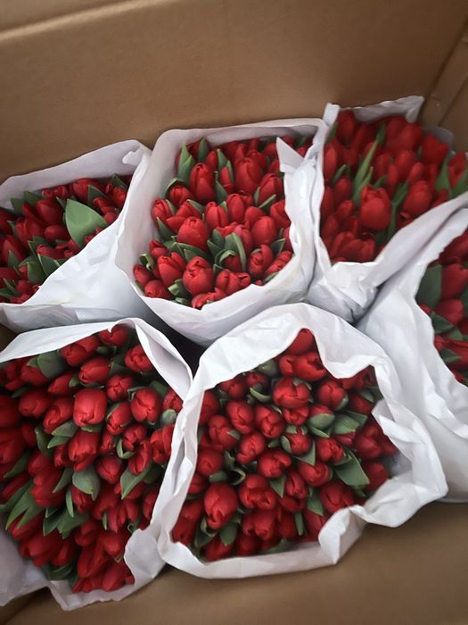 Тюльпаны город Тараз оптом и в розницу