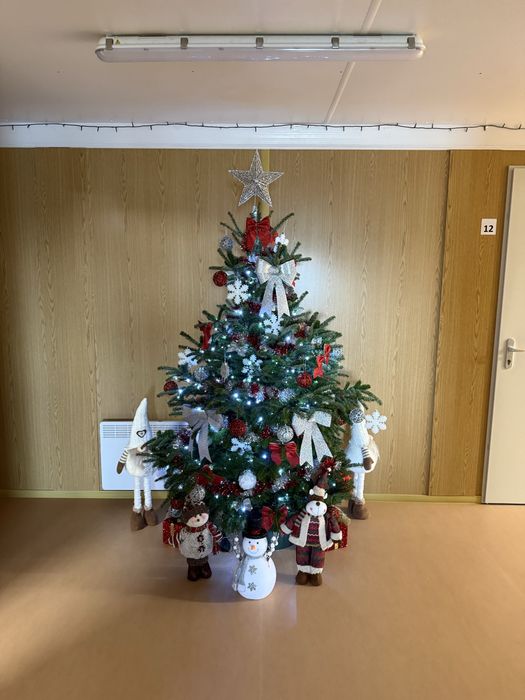 Analiza riscului la securitatea fizica