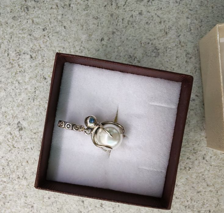 Висулка талисман за гривна пандора Sublime