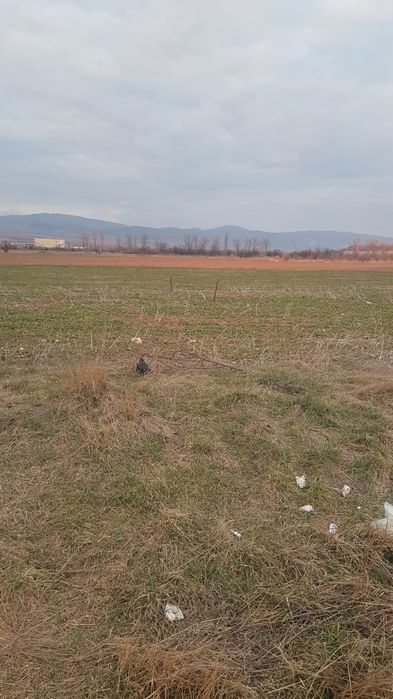 Продава се Парцел в Дупница - 2470 кв.м за 50 €/кв.м - Снимка #3