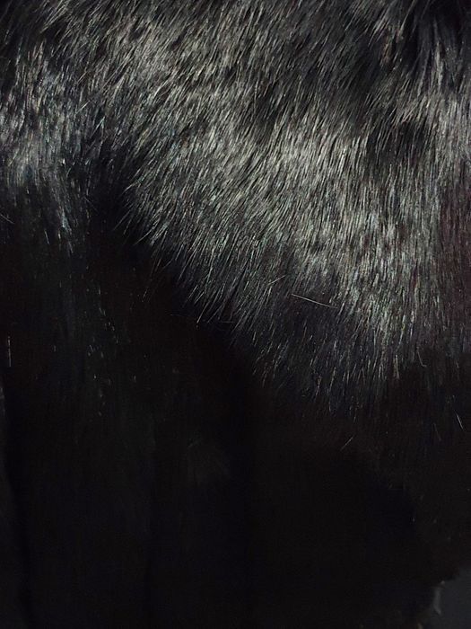 Haină de blană bizon