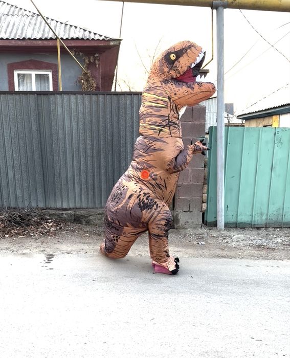 Воздушный костюмы на Прокат