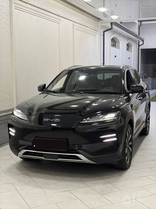 BYD chempion 605 qora rang