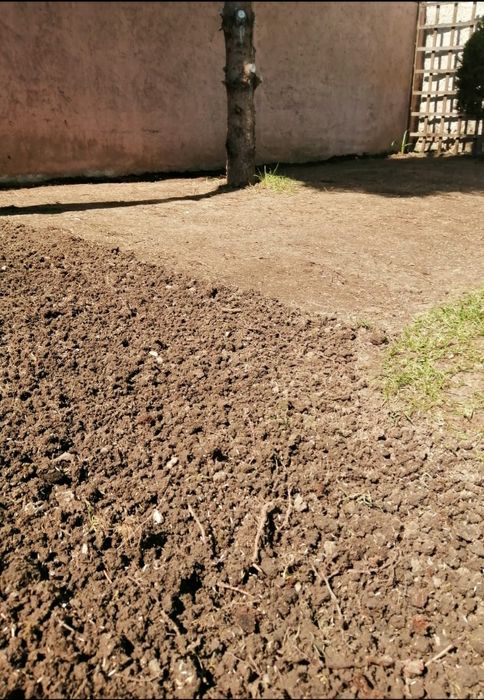 Inchiriez tăvălug,distribuitor seminte,scarificator,nivelator,gazon,