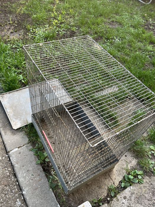 Cusca pentru chinchilla