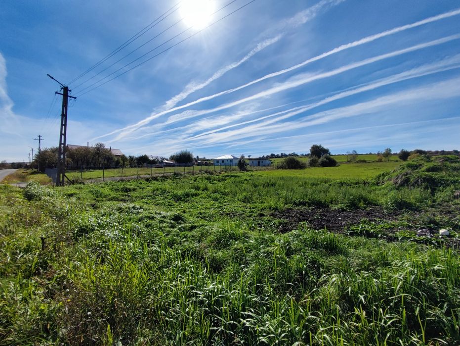 Teren Săliștea veche