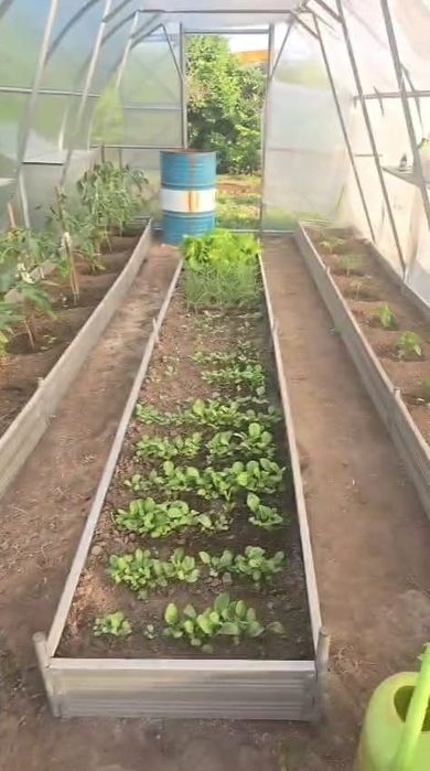 Продам дачу сад. "Заря" 1 линия