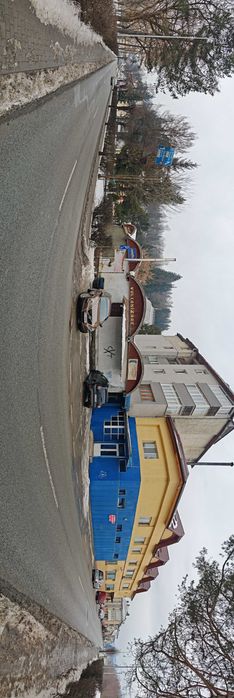 Spatiu comercial 220mp în Vatra Dornei