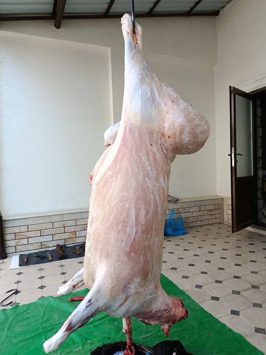 Qassob -мясник- Кассоб service hizmati