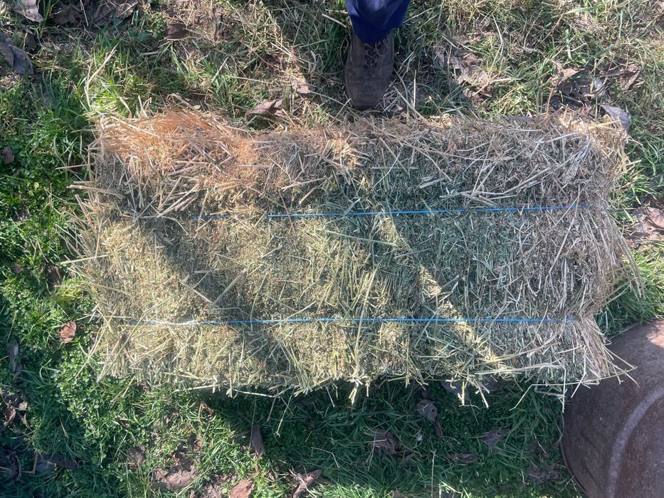 Vand baloti lucerna curata