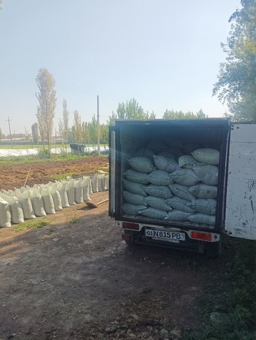 Biogomus Dastavka tekin