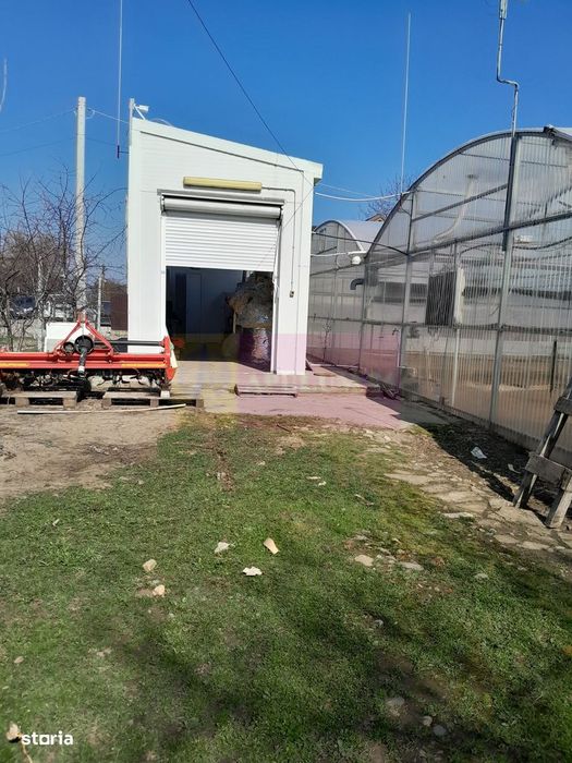 Vanzare Teren 3100 Mp - Sat Rosiori (Il)