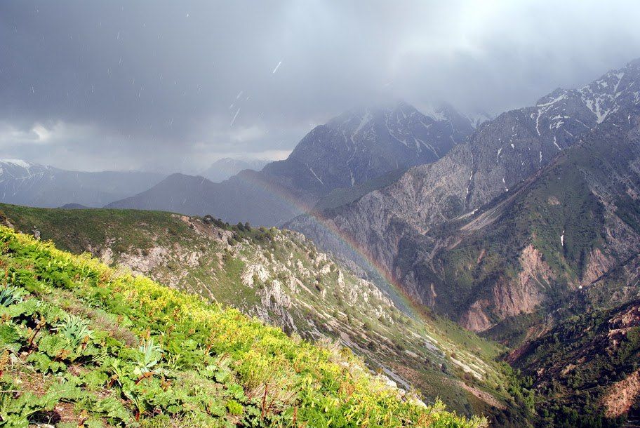 Экскурсии и туристические поездки!!!