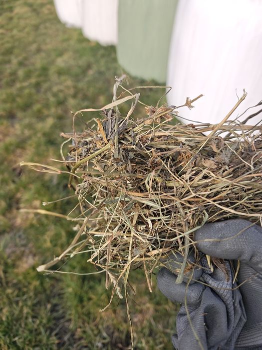 Baloți infloliat de lucernă și trifoi